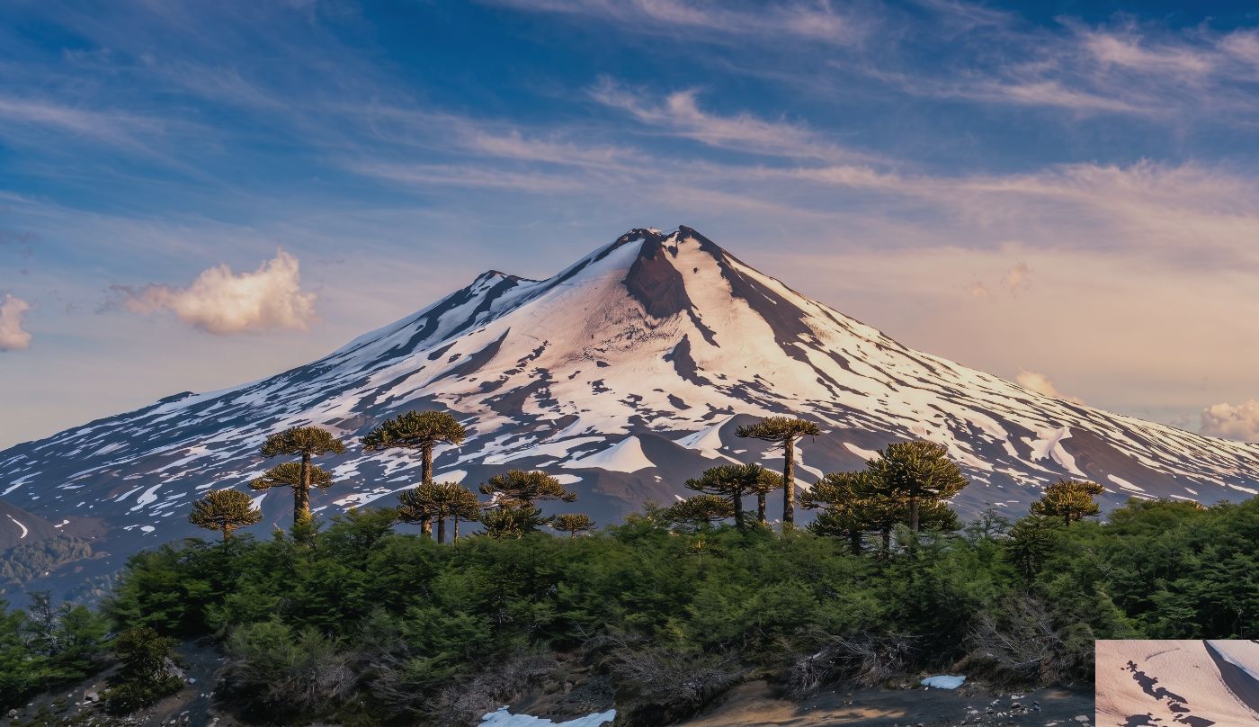 Volcán Villarrica y bosque nativo
